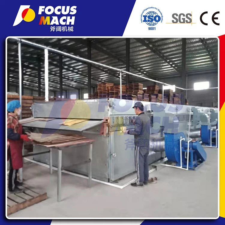 20m 1Deck Steam Heated Veneer Roller Dryer